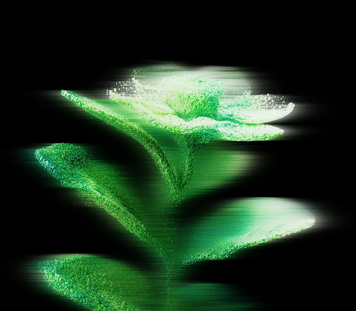 masthead background decorative image